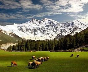 Deosei Plateau Tour
 summit ridge